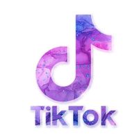 Onze Tiktok account